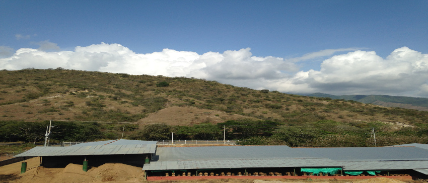 Vista general